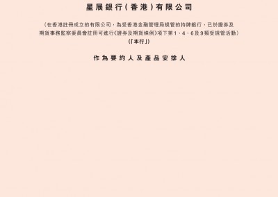 星展银行（ 香港）有限公司 – 财务披露文件