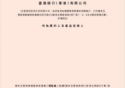 星展银行（香港）有限公司 – 财务披露文件增编