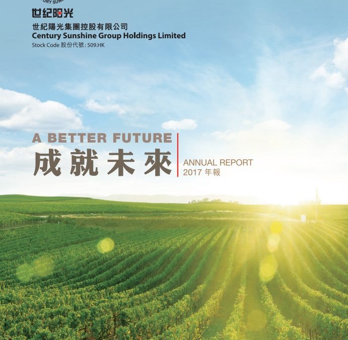 世纪阳光集团控股有限公司