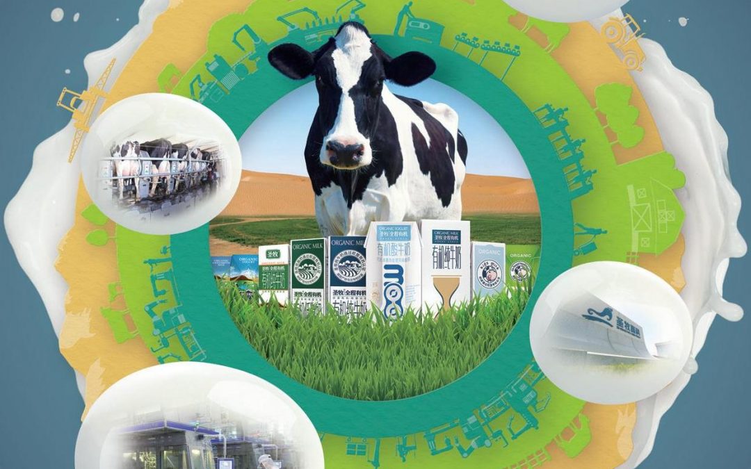 China Shengmu Organic Milk Limited