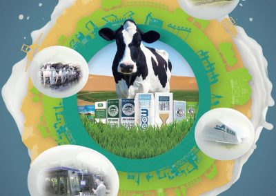 China Shengmu Organic Milk Limited