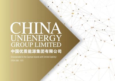China Unienergy Group Limited