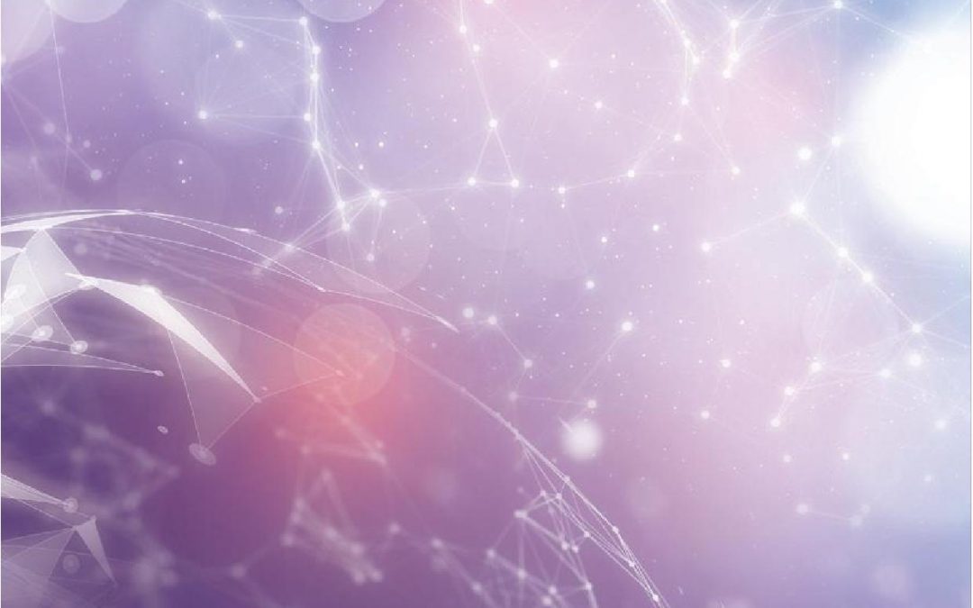 紫光科技(控股)有限公司