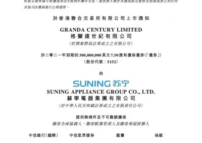 蘇寧電器集團有限公司