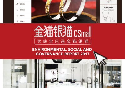 CSMall Group Limited
