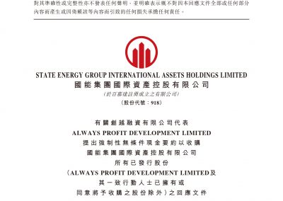 国能集团国际资产控股有限公司