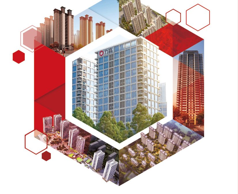 力高地产集团有限公司