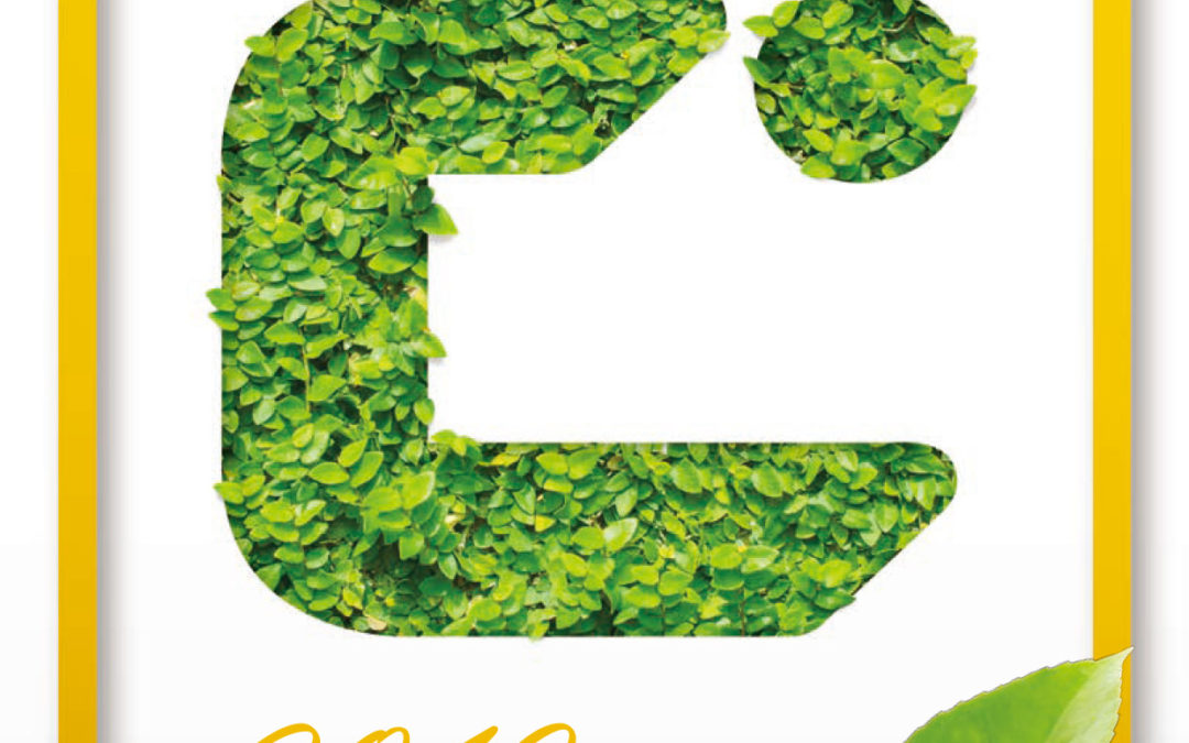 Cosmopolitian International Holdings Limited ESG