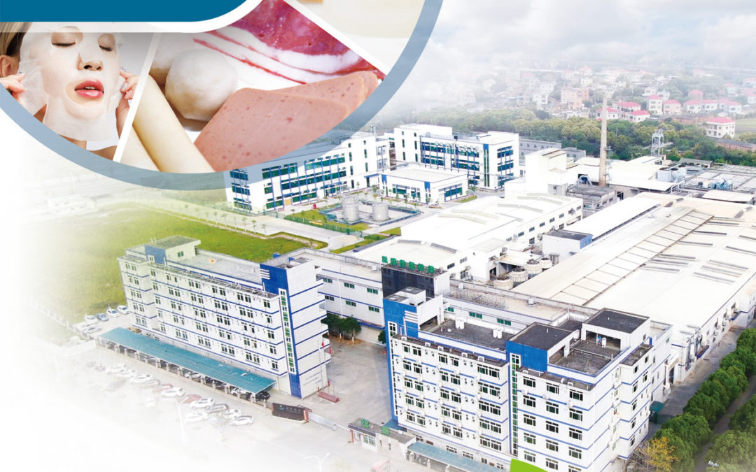 Green Future Food Hydrocolloid Marine Science Company Limited