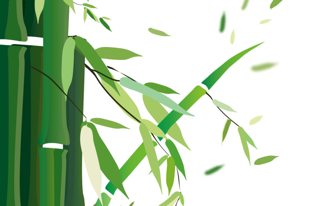 The Cross-Harbour (Holdings) Limited