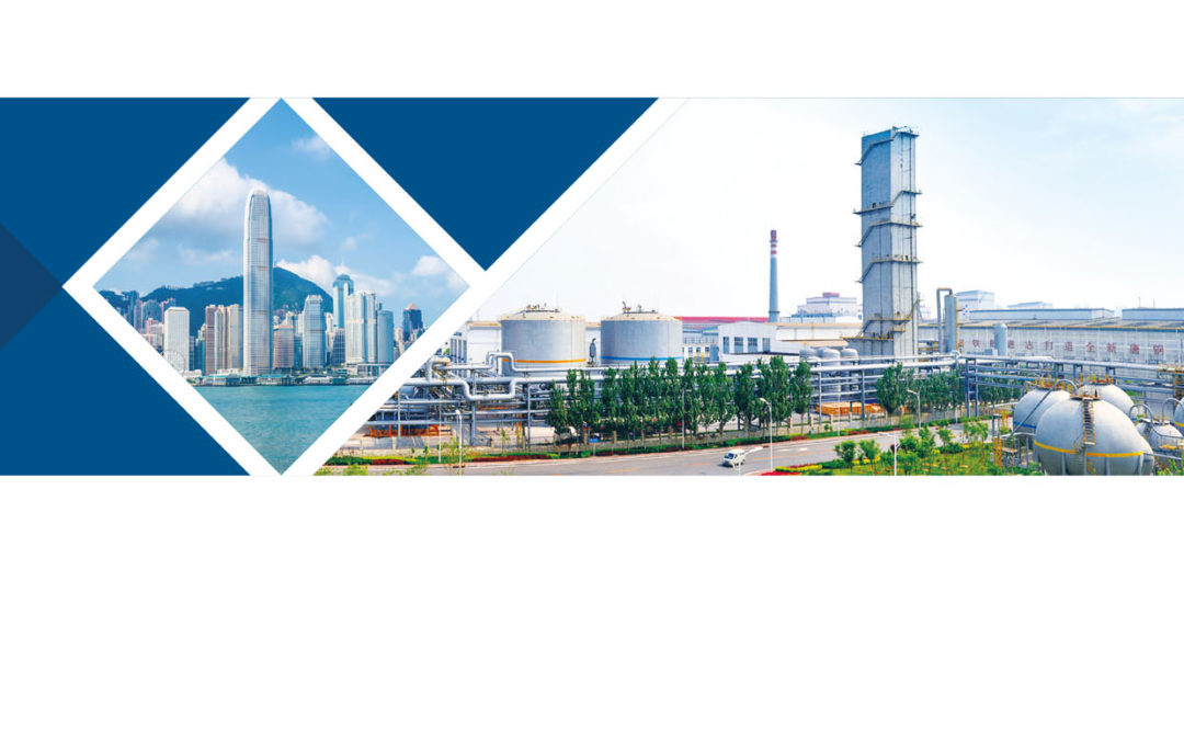 CHINA GAS INDUSTRY INVESTMENT HOLDINGS CO. LTD.