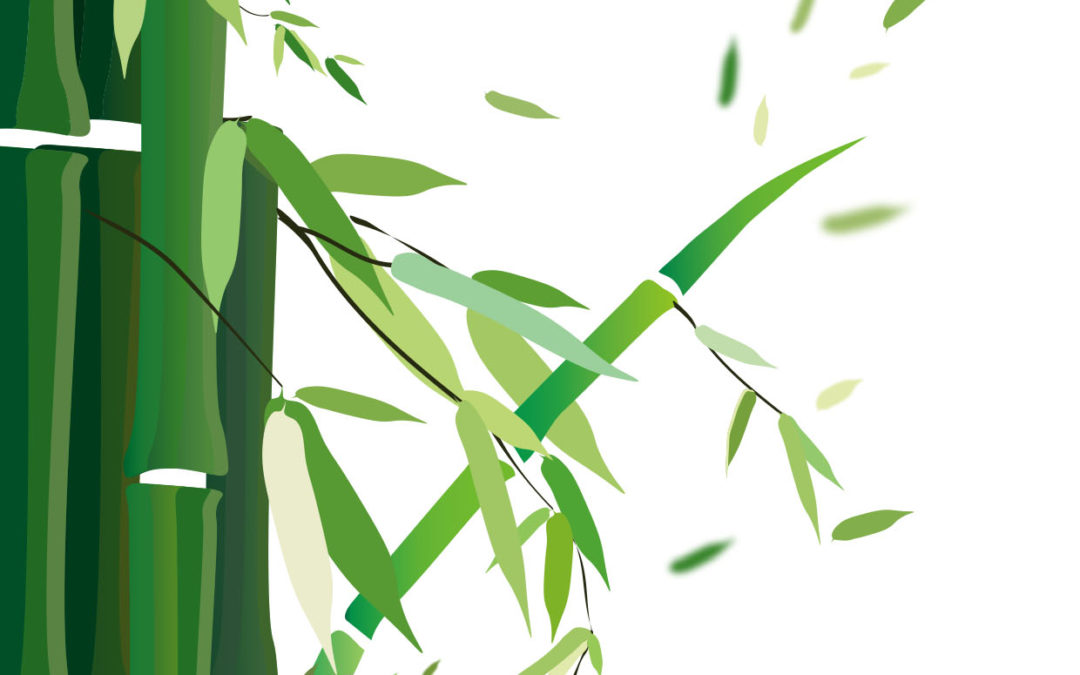 The Cross-Harbour (Holdings) Limited