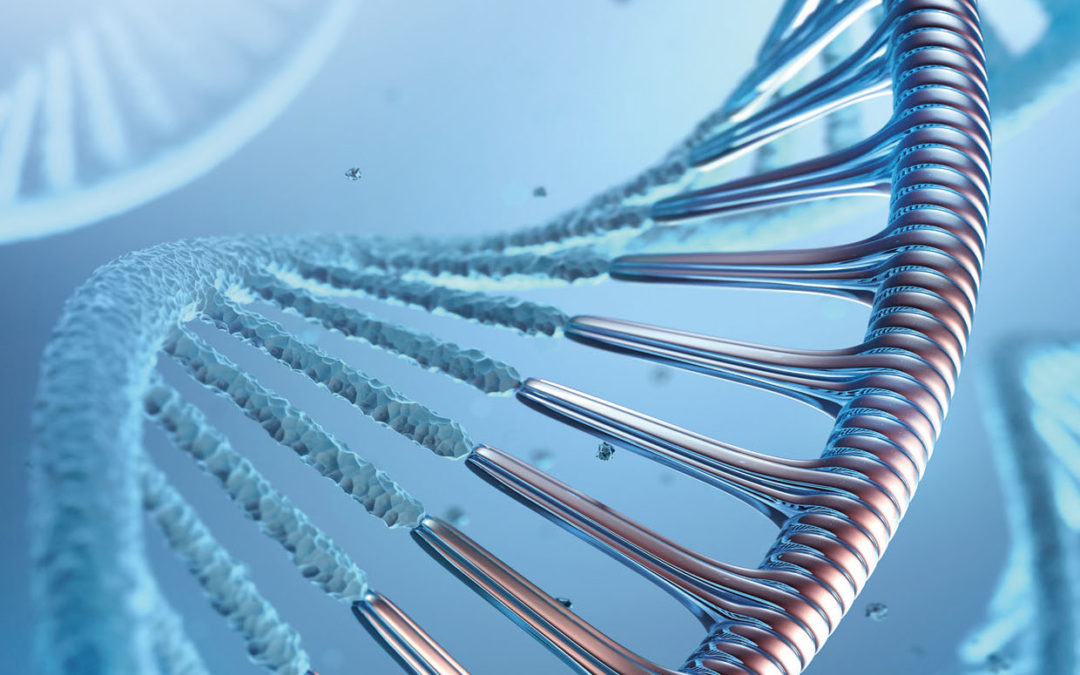 Endurance RP Limited