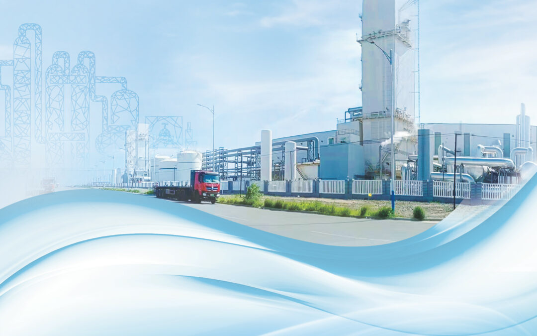 CHINA GAS INDUSTRY INVESTMENT HOLDINGS CO. LTD.