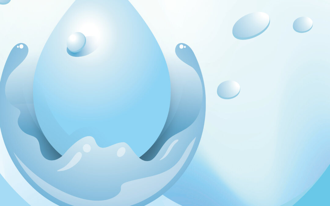 The Cross-Harbour (Holdings) Limited