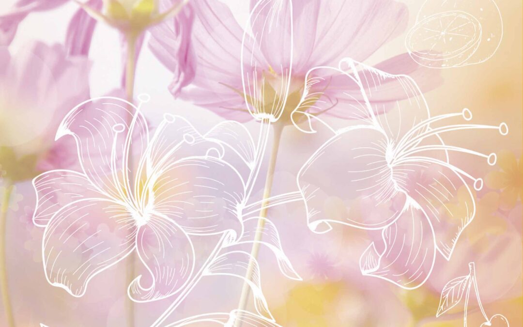 中國波頓集團有限公司