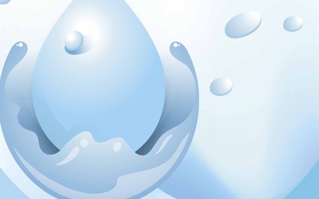 THE CROSS-HARBOUR (HOLDINGS) LIMITED