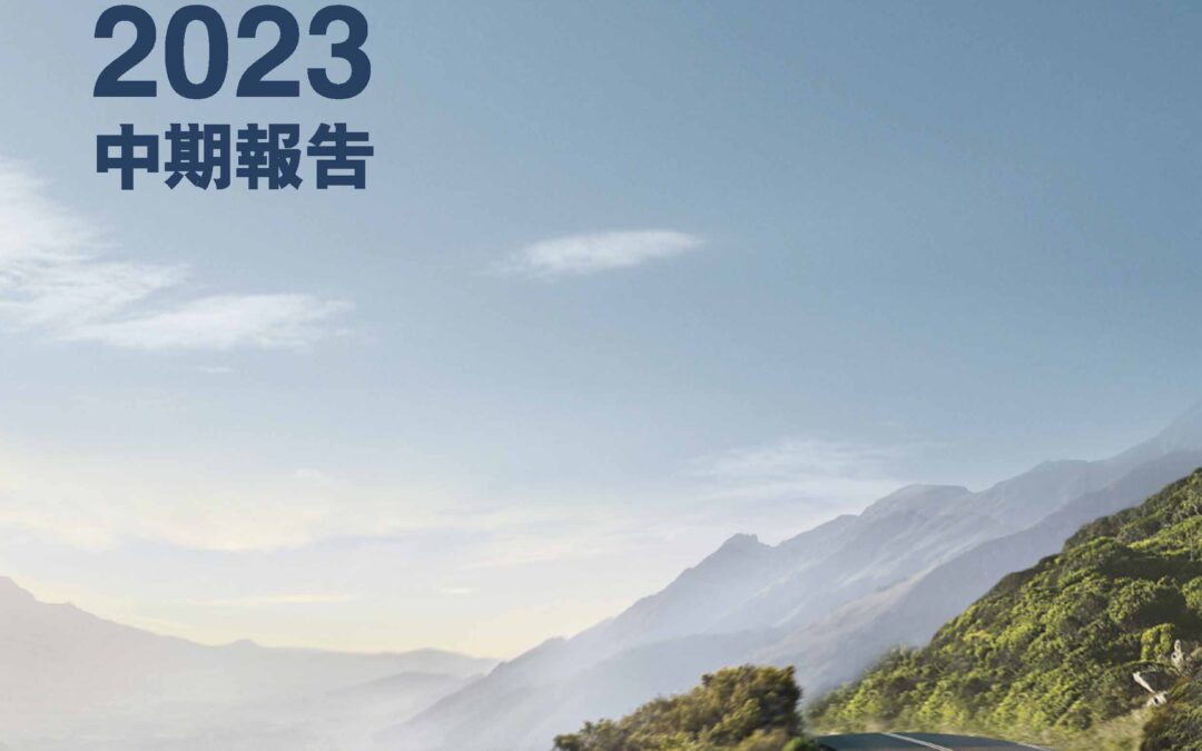 中國重汽(香港)有限公司