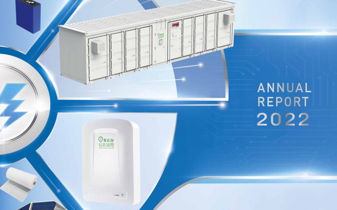 XINYI ELECTRIC STORAGE HOLDINGS LIMITED