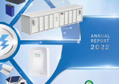 XINYI ELECTRIC STORAGE HOLDINGS LIMITED