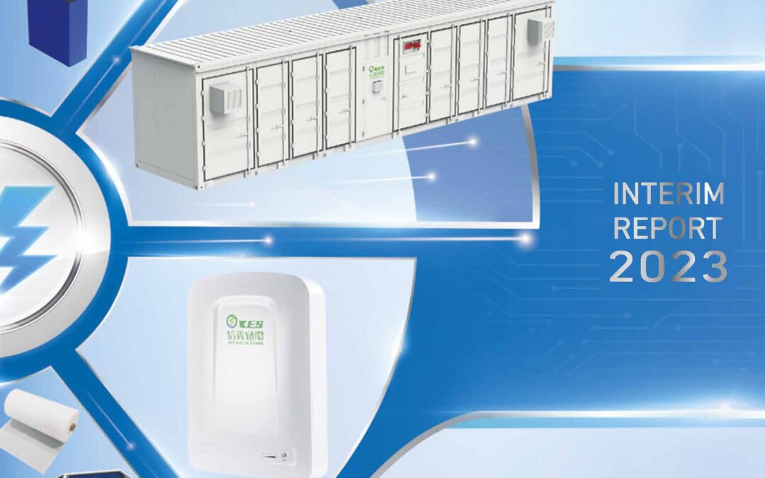 XINYI ELECTRIC STORAGE HOLDINGS LIMITED