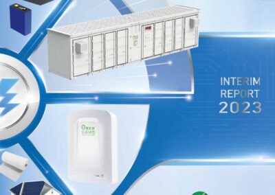 XINYI ELECTRIC STORAGE HOLDINGS LIMITED