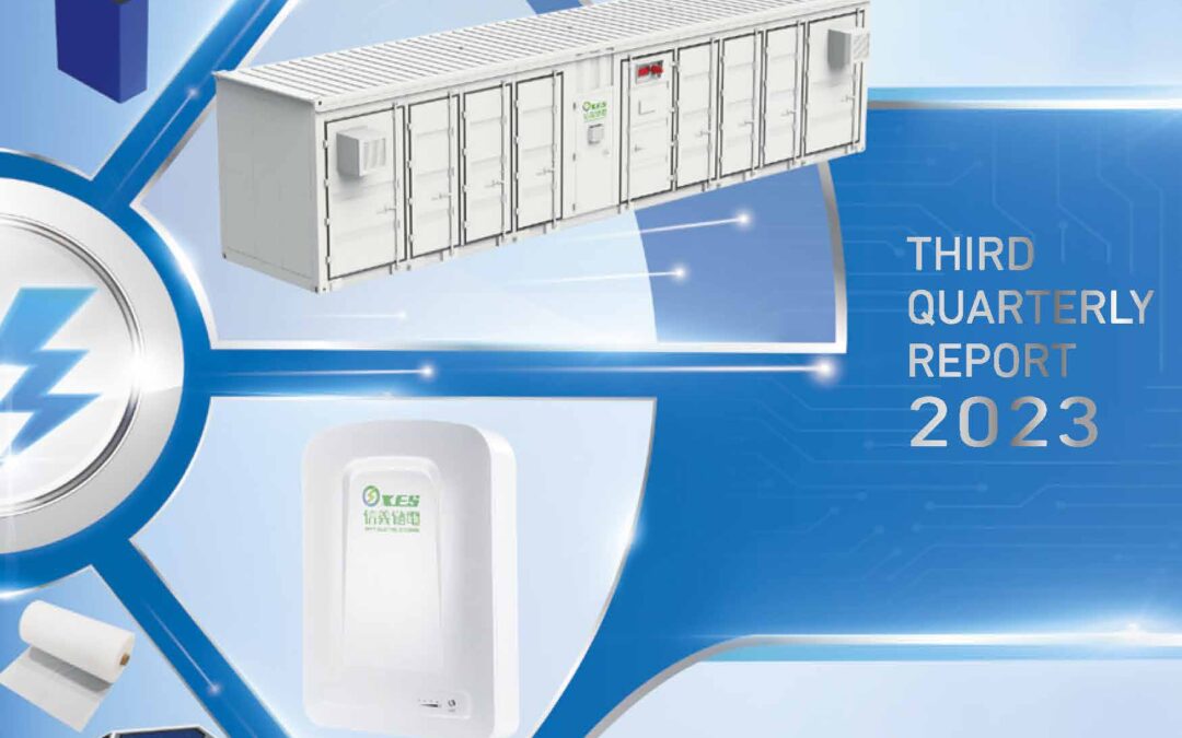 XINYI ELECTRIC STORAGE HOLDINGS LIMITED