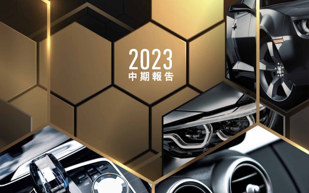 信邦控股有限公司