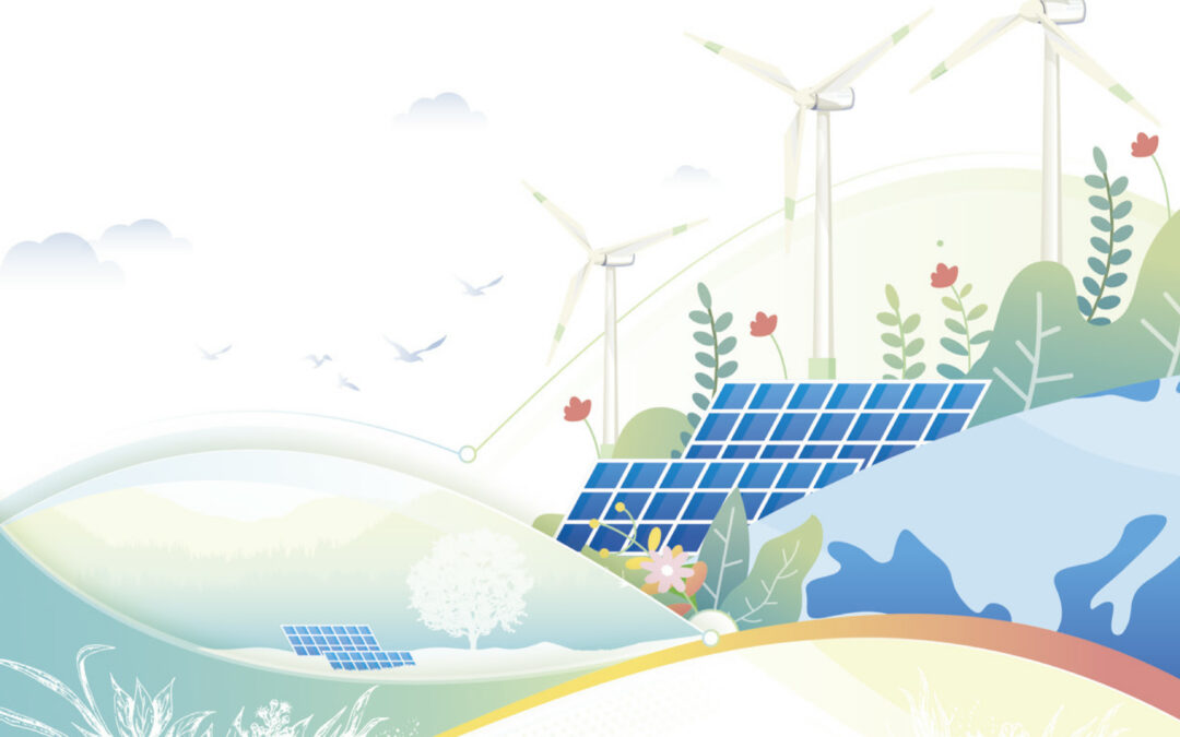 China Renewable Energy Investment Limited