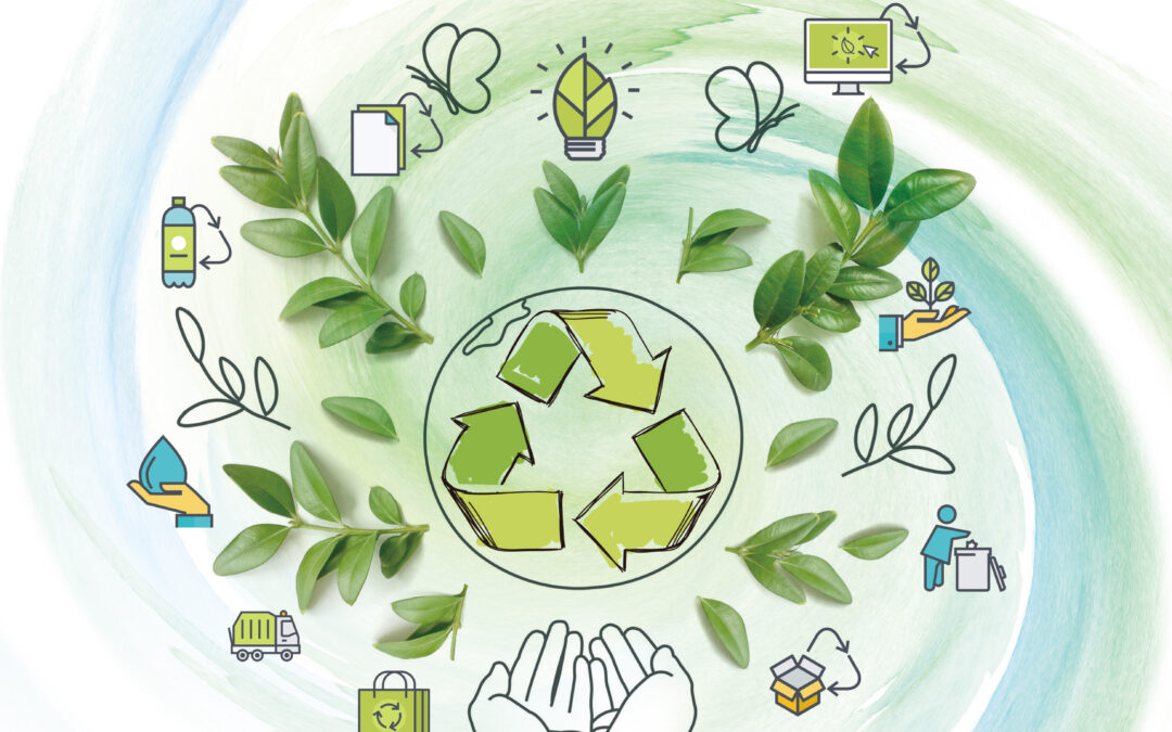 INTEGRATED WASTE SOLUTIONS GROUP HOLDINGS LIMITED‭ ‬