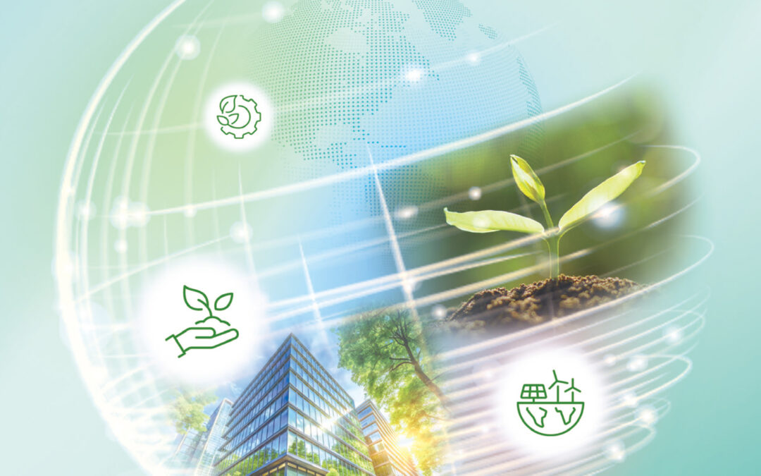 STATE ENERGY GROUP INTERNATIONAL ASSETS HOLDINGS LIMITED