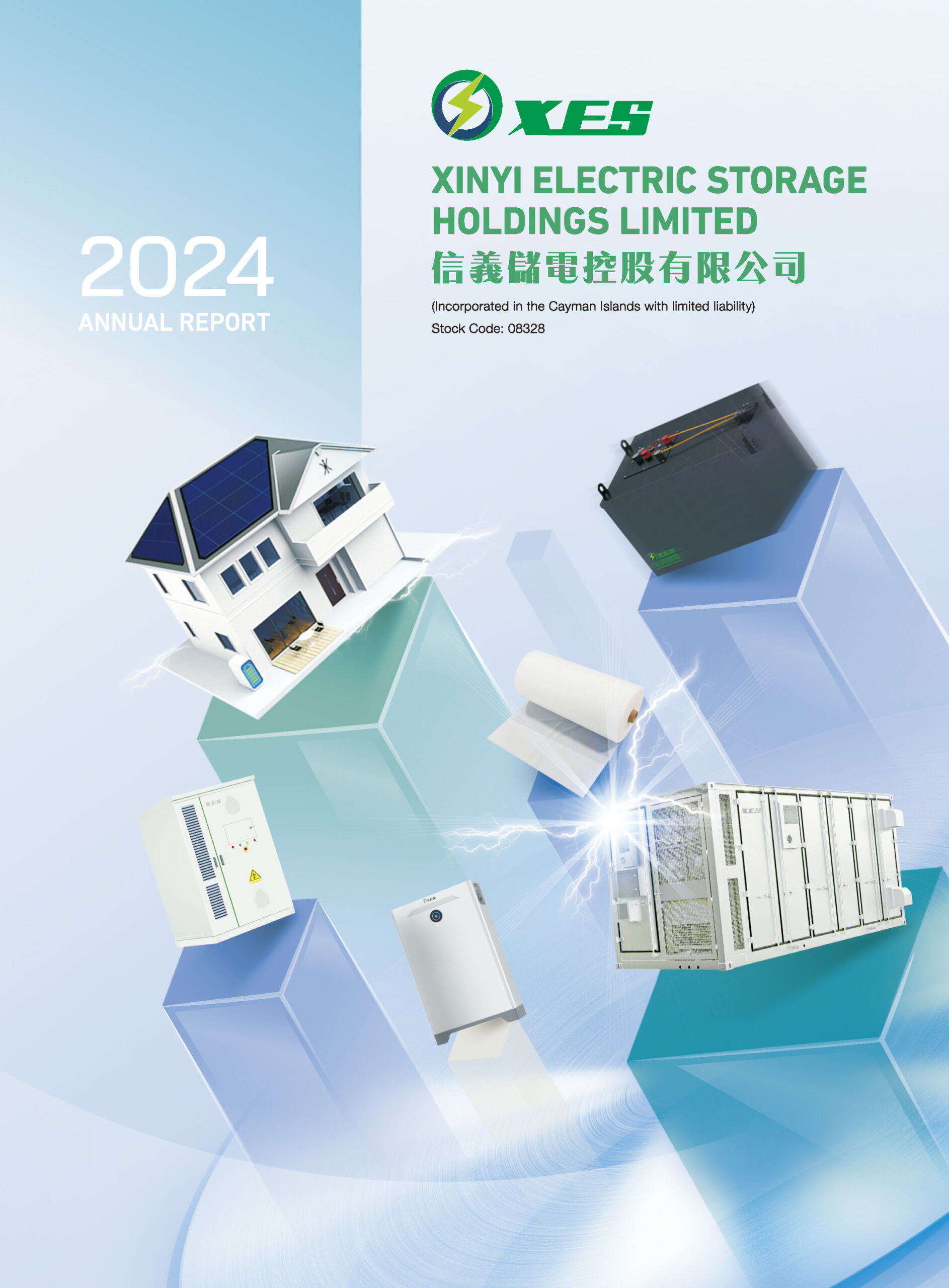 XINYI ELECTRIC STORAGE HOLDINGS LIMITED