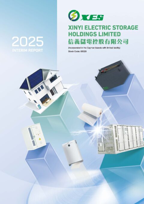 XINYI ELECTRIC STORAGE HOLDINGS LIMITED